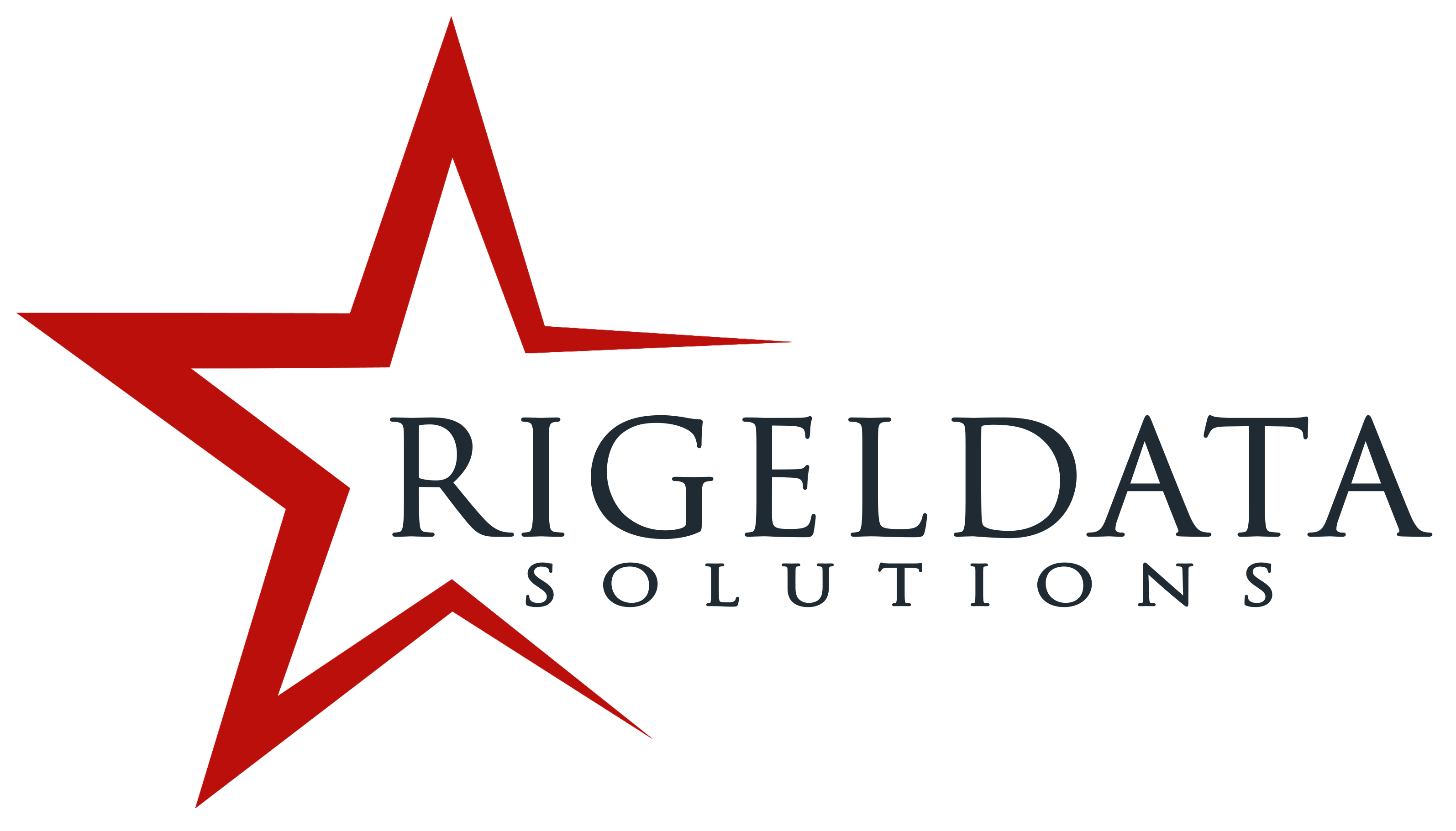 RigelData Solutions